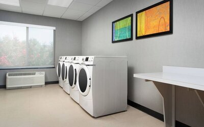 Laundry service is available for guests at Fairfield Inn & Suites By Marriott Baltimore BWI Airport.