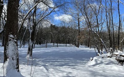 Outdoors surrounding at SKYLARANNA Resort & Spa.