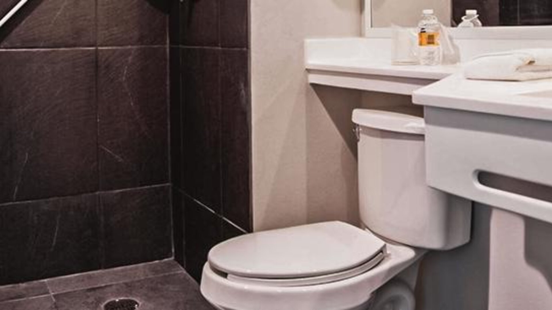 City Express Plus by Marrriott Guadalajara Palomar