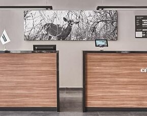 City Express by Marriott Monterrey Lindavista