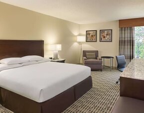 Day use room with TV at DoubleTree By Hilton Houston Intercontinental Airport.