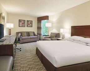 Day use room with TV at DoubleTree By Hilton Houston Intercontinental Airport.