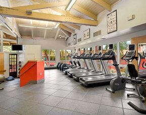 Gym at Hilton Phoenix Tapatio Cliffs Resort.