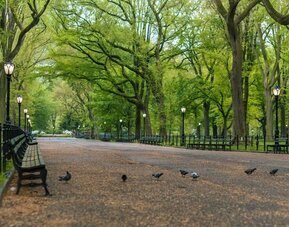 City landmarks at Nap York Central Park.