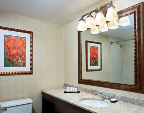 Day use room at Embassy Suites By Hilton Parsippany.