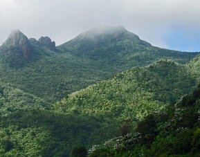 Local natural landmark at DREAMCATCHER By DW.