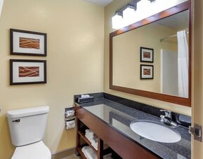 Guest bathroom at Comfort Inn & Suites North Aurora - Naperville.