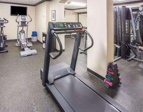 Gym at Wyndham Garden Schaumburg Chicago Northwest.