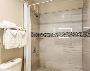 Guest bathroom at Econo Lodge Inn & Suites Murfreesboro Shopping District.