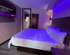 King room at THE VINE HOTEL BRONX.