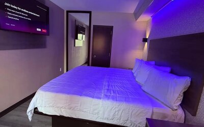 King room at THE VINE HOTEL BRONX.