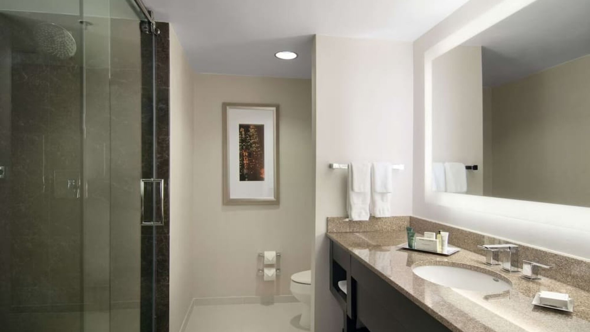 Guest bathroom at Hilton Atlanta Airport.