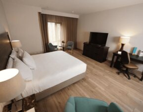 Hotel Morrison by Cosmos Zona Rosa