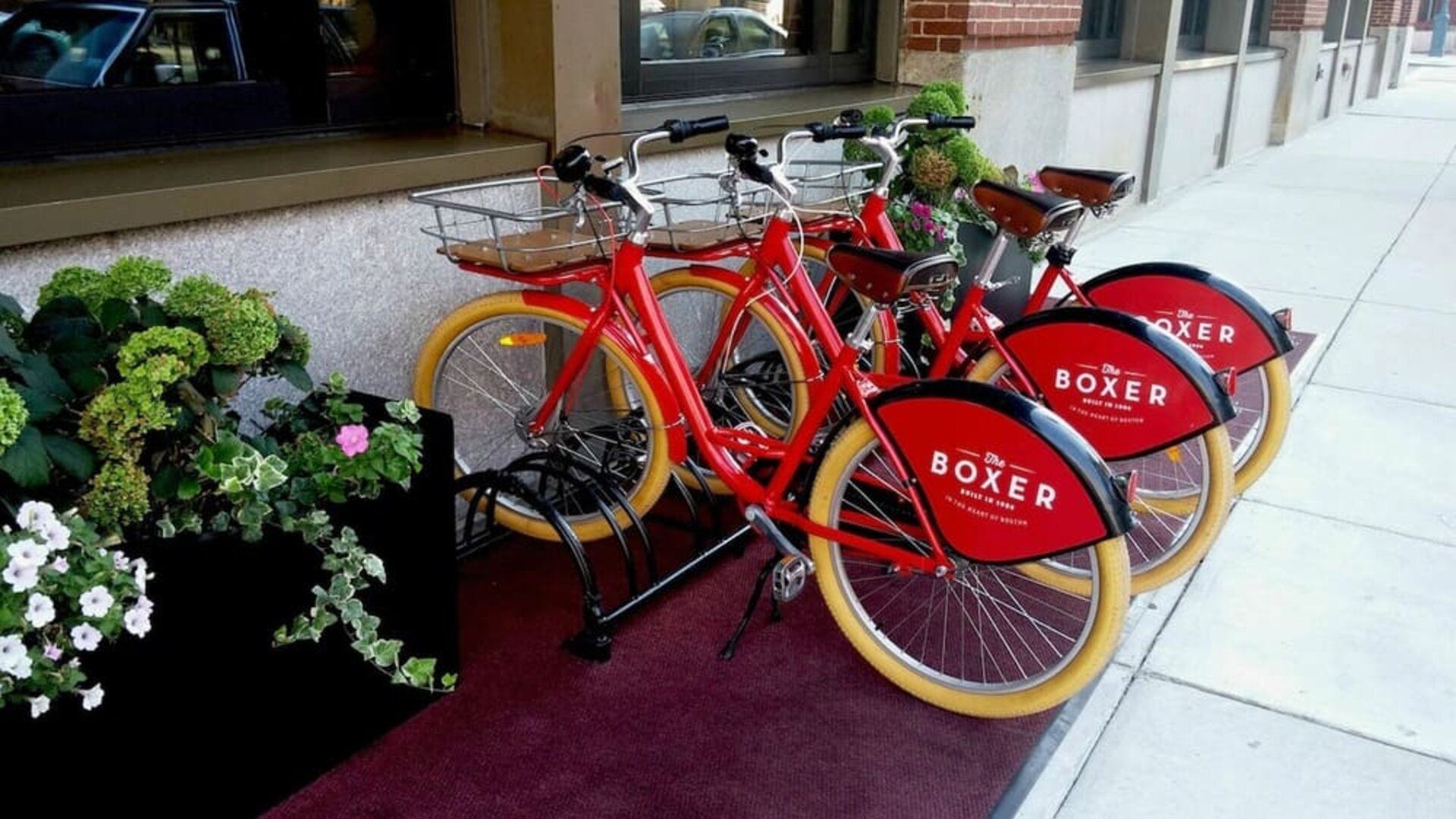 Bicycle rental at Eurostars The Boxer.