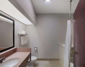 Guest bathroom at Quality Inn & Suites Irving DFW Airport South.