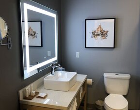 Guest bathroom at Radisson Hotel Atlanta Airport.