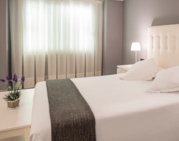 Hotel SM Hotel Teatre Auditori