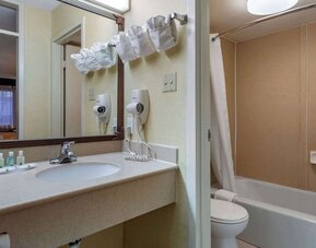 Guest bathroom at Quality Inn On Historic Route 66.