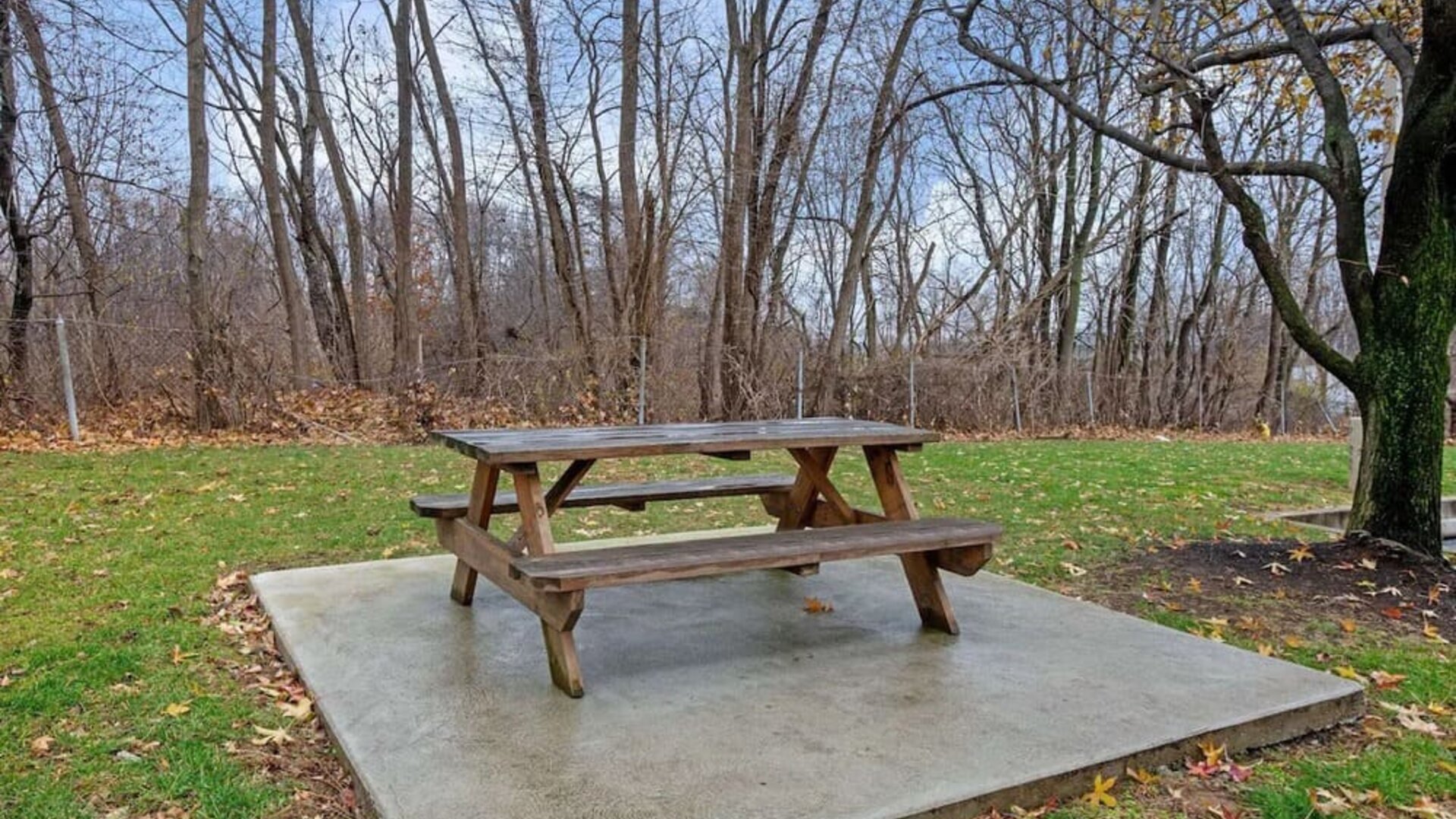 Outdoor space at La Quinta Inn & Suites By Wyndham Harrisburg Airport Hershey.