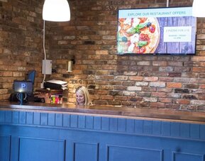 Reception at Dragonfly Hotel Colchester - Surya Hotels.