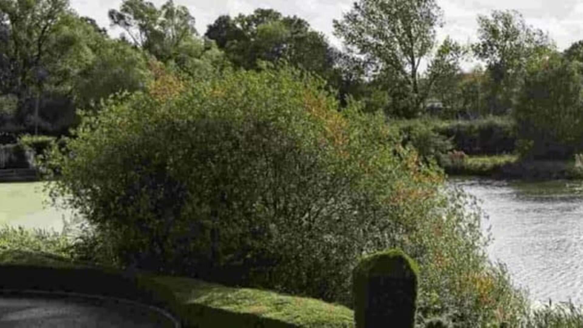 Lake at Dragonfly Hotel Colchester - Surya Hotels.