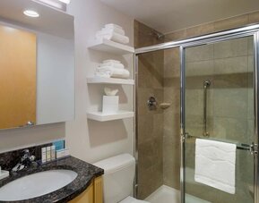 Bathroom at Hampton Inn Times Square South.