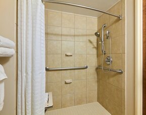 Accessible shower at Candlewood Suites Times Square.