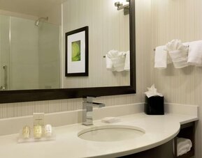 Bathroom at Hilton Garden Inn Midtown East..