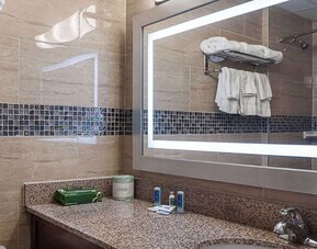 Bathroom at Rodeway Inn Meadowlands
