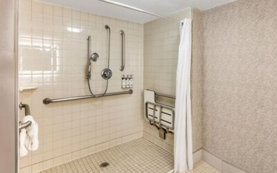 Guest bathroom at Holiday Inn Express Chicago - Downers Grove.