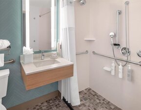 Accessible bathroom at Hilton Garden Inn Queens/JFK Airport with roll-in shower, grab bars, sink, and tiled floor.
