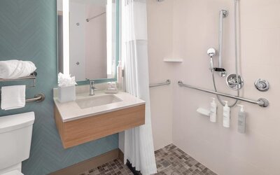 Accessible bathroom at Hilton Garden Inn Queens/JFK Airport with roll-in shower, grab bars, sink, and tiled floor.