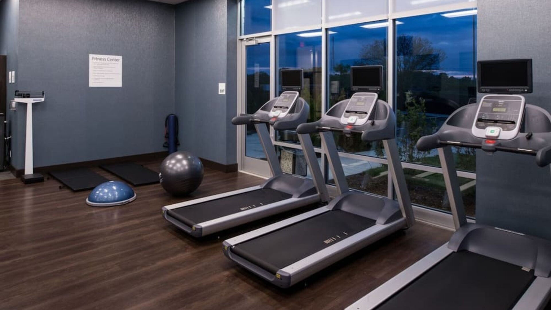 Fitness center with treadmills, exercise balls, and large windows at Holiday Inn & Suites Farmington Hills - Detroit NW By IHG.