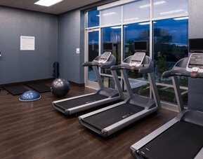 Fitness center with treadmills, exercise balls, and large windows at Holiday Inn & Suites Farmington Hills - Detroit NW By IHG.