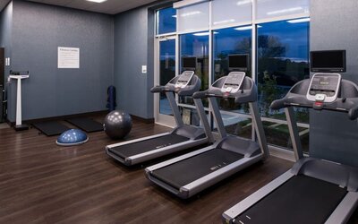 Fitness center with treadmills, exercise balls, and large windows at Holiday Inn & Suites Farmington Hills - Detroit NW By IHG.