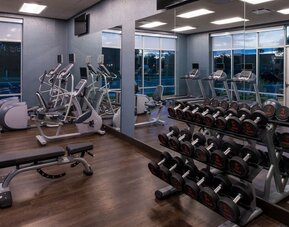 Gym with free weights, cardio machines, mirrored wall, and workout bench at Holiday Inn & Suites Farmington Hills - Detroit NW By IHG.