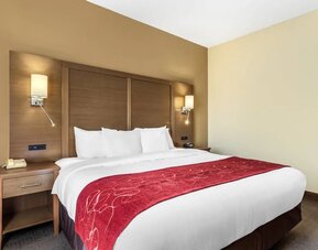 Bed with red runner, wooden headboard, bedside tables, and wall-mounted lights at Comfort Suites Bush Intercontinental Airport.