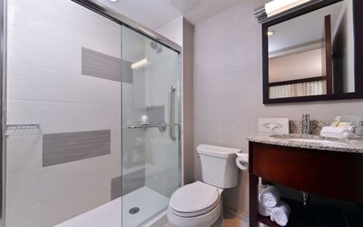 Bathroom with glass-enclosed shower, toilet, vanity sink, and granite countertop at Holiday Inn New York City - Times Square By IHG.