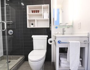 Bathroom with walk-in shower, sink, mirror, and shelving at Edge Hotel NYC.