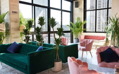 Lobby lounge with plush seating, large windows, and indoor plants at Hotel Hendricks.