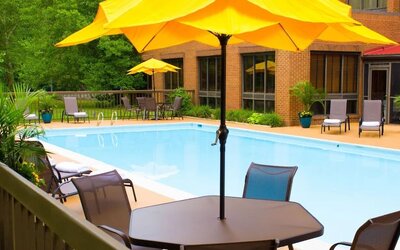 Outdoor pool area with sun loungers, umbrellas, and surrounding greenery at Wyndham Garden Williamsburg Busch Gardens Area.