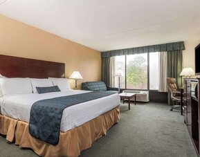 Guest room with natural light, large window, and comfortable seating area at Wyndham Garden Williamsburg Busch Gardens Area.