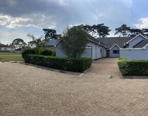Pathway leading to lodge units bordered by trimmed hedges and greenery within the Sega Lodge property.