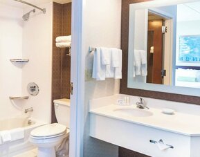 Bathroom at Marriott SpringHill Suites Naperville/Warrenville with tub shower combo, white vanity, and large mirror.