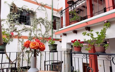 Rincon Familiar Hostel Boutique