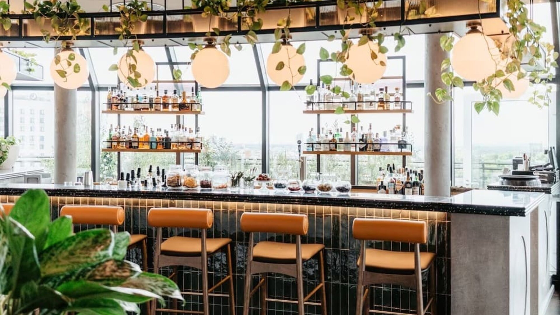 Stylish bar with high stools, hanging globe lights, greenery overhead, and shelves of bottles by large windows