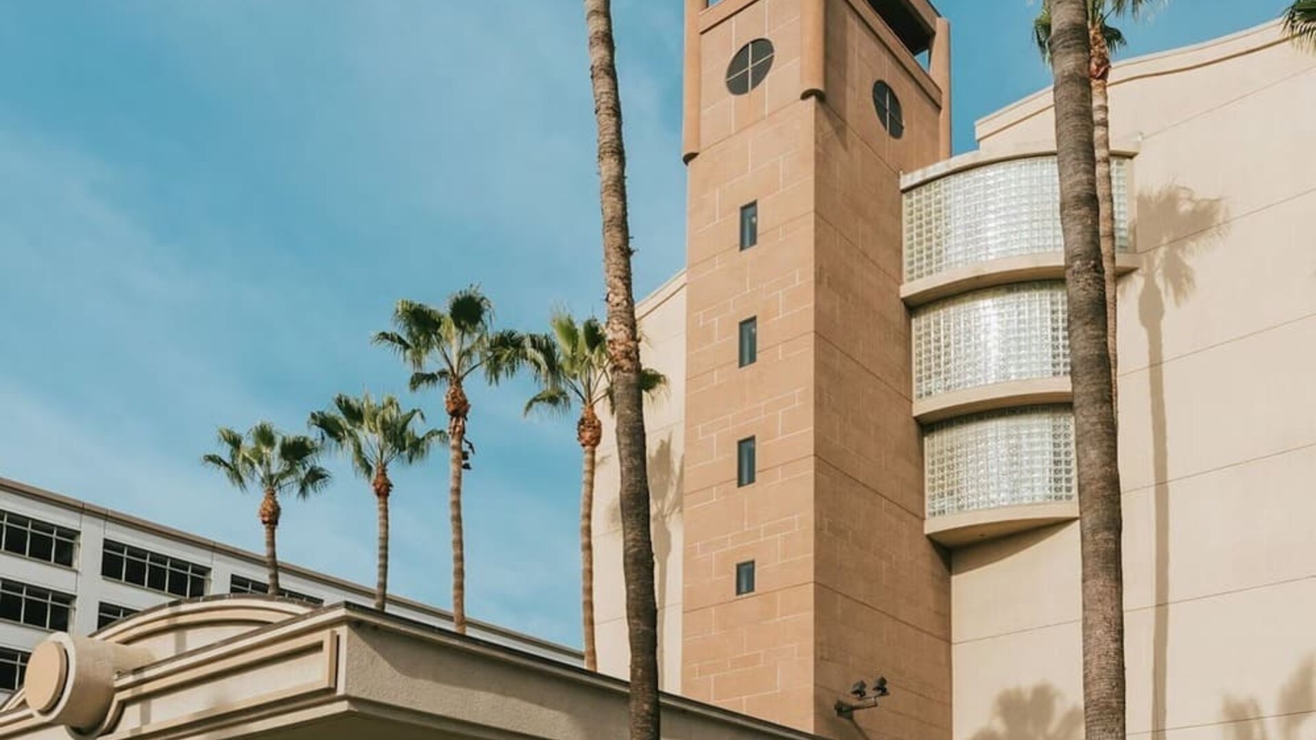 Daytime exterior entrance with tall palm trees and covered driveway at Courtyard By Marriott Los Angeles LAX/Century Boulevard.