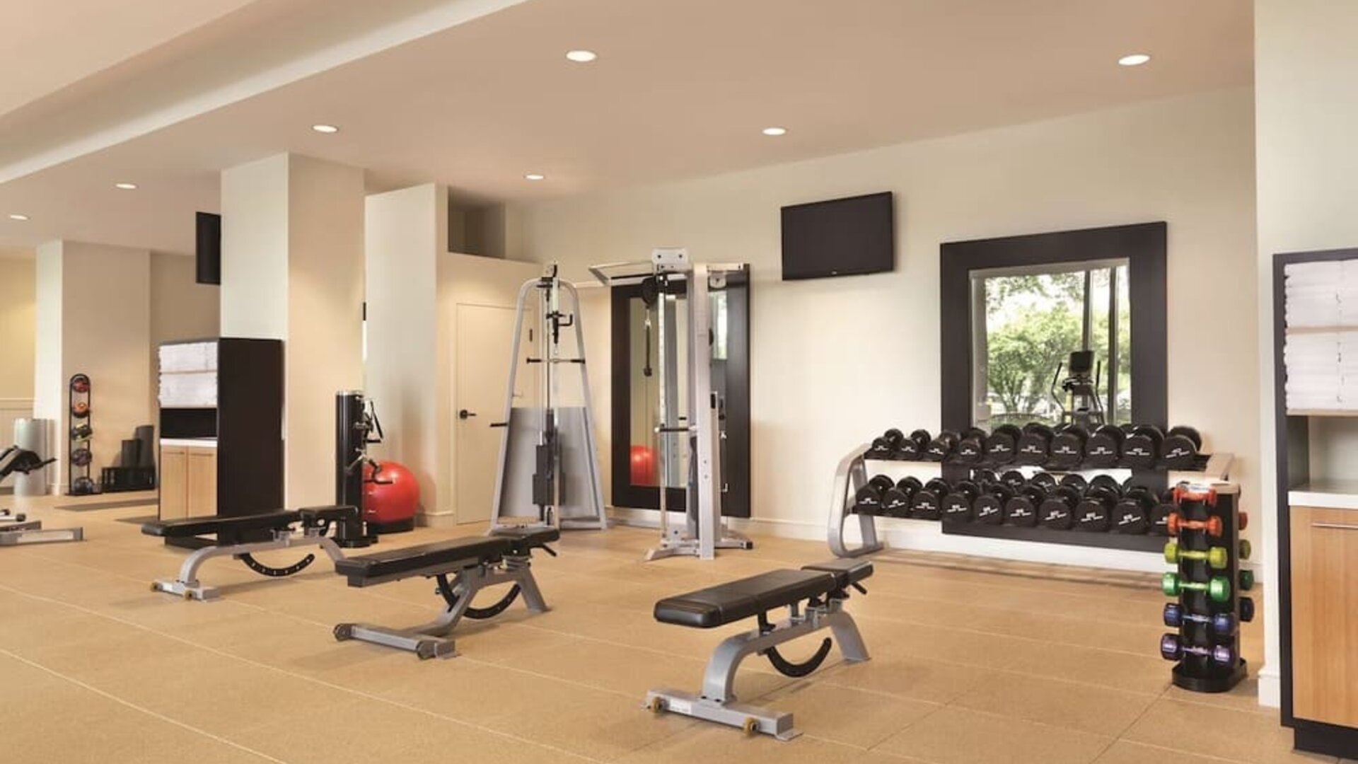 Fitness center with free weights, benches, cable machine, and mirrored workout area at Hilton Boston Logan Airport.
