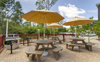 Outdoor picnic and barbecue area with shaded tables and tropical landscaping at Comfort Inn & Suites Port Charlotte-Punta Gorda.