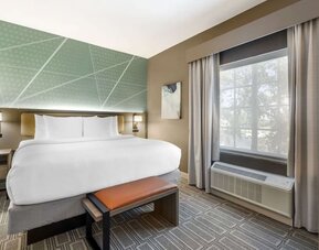 Contemporary king guest room with geometric accent wall, bench seating, and natural light at Comfort Inn & Suites Port Charlotte-Punta Gorda.